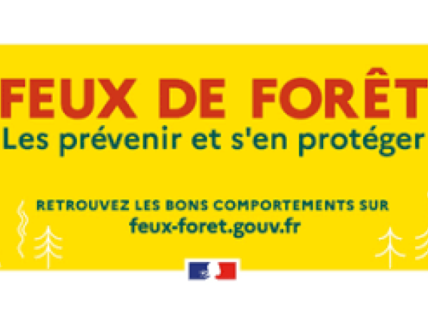Feux de forêt