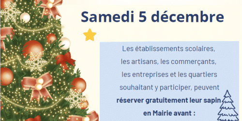 concours sapins