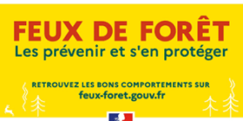 Feux de forêt
