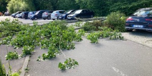 Chute d'un peuplier Parking de la maison pluridisciplinaire de santé