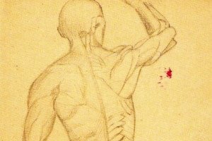 Étude d'anatomie d'après l'écorché de Cigoli