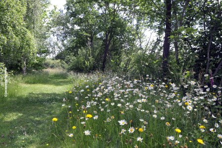 chemin retiers